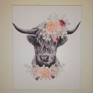 8x10 Highland Cow Canvas